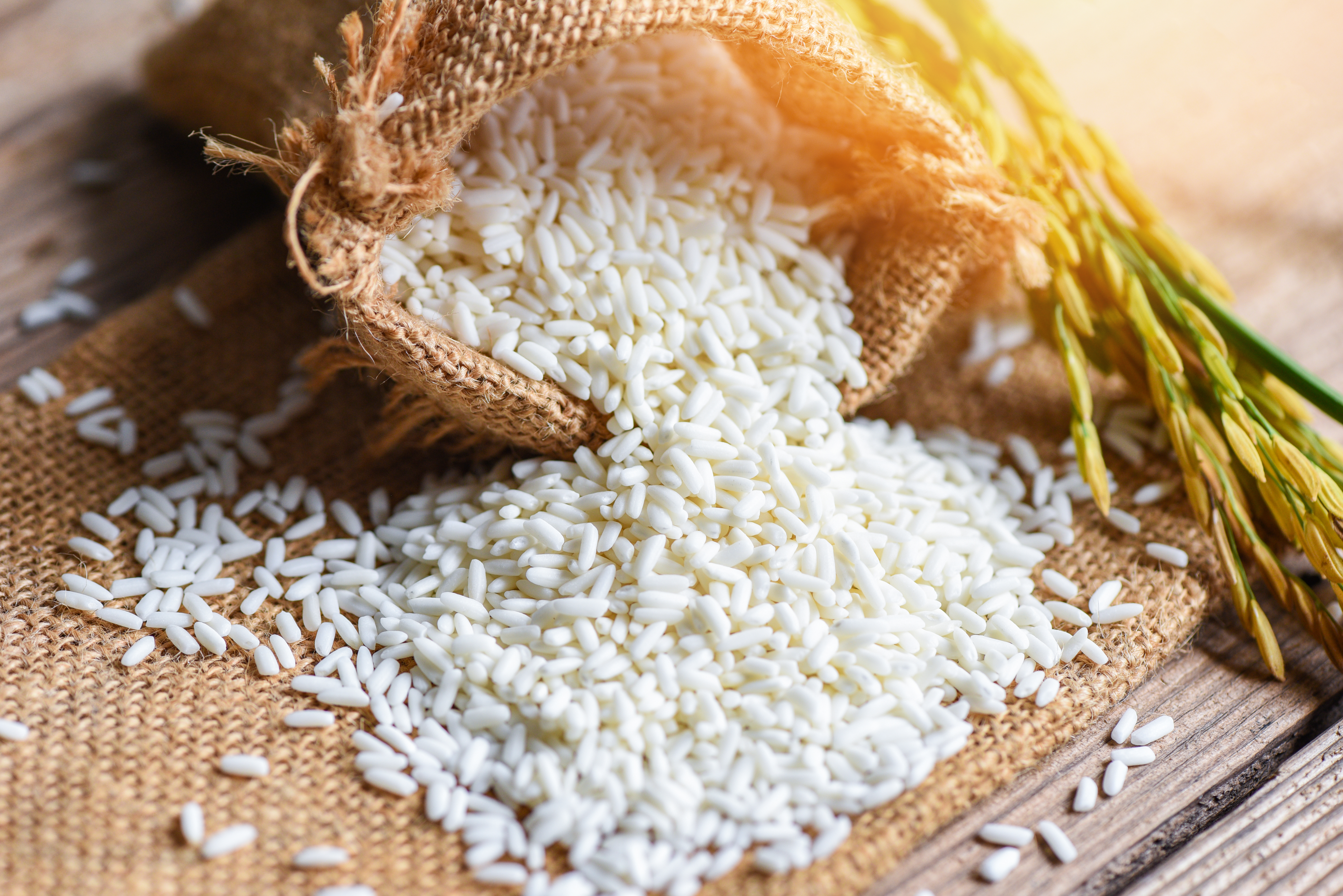 Agricultural products from India